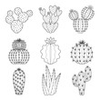Vector icon set of contour cactus and succulent