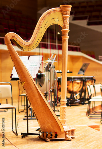 Buy A Harp >> Harp In A Large Concert Hall Musical Instrument The Concert Buy A Harp >> Harp In A Large Concert Hall Musical Instrument The Concert