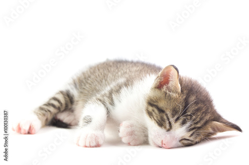 500_F_100130387_EN2v7u5eccdHsEtaP5rXYQ3F0SLmLARQ.jpg