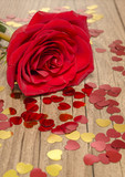 Fototapeta  - Red rose with heart as a concept of valentines day card