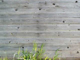 Perfect natural gray wood texture