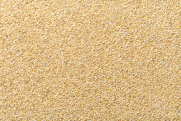 Poster - foxtail millet with husks