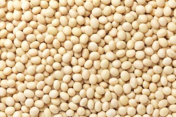 Sticker - organic soybeans