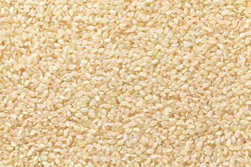 Poster - brown rice , genmai