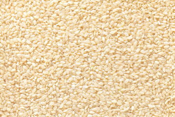 Sticker - germinated brown rice , hatsuga genmai