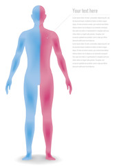 human body silhouette, vector illustration