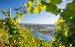 canvas print picture - Mosel Panorama