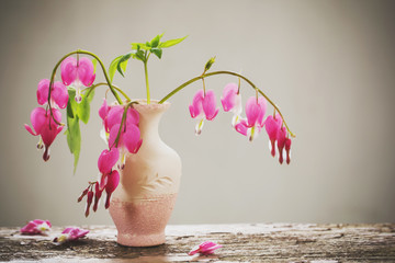 Bleeding heart flowers in vase