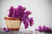 Basket With A Branch Of Lilac Flower