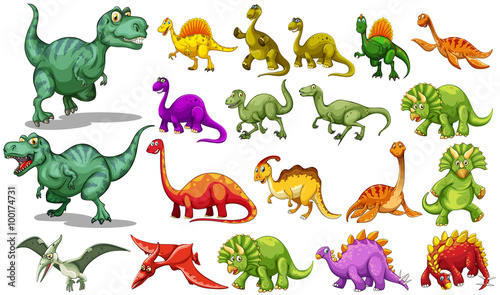 Photo Different kind of dinosaurs