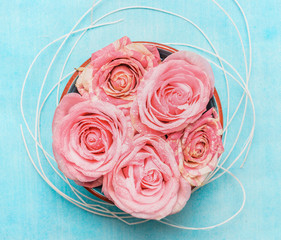 Wall Mural - bowl with roses on blue background, top view