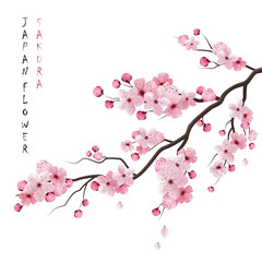 Canvas Print - Realistic Sakura Branch