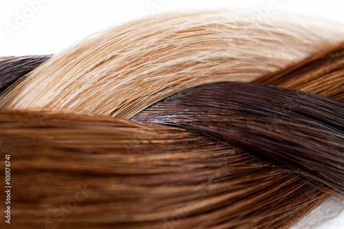 Braid of Various Hair Colors Canvas Print