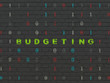 © Maksim Kabakou - Finance concept: Budgeting on wall background
