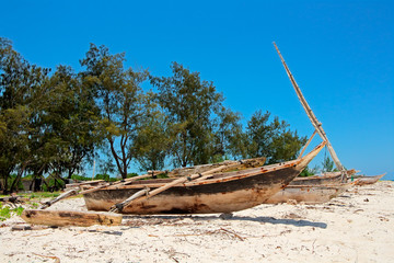 Poster - Wooden sailboats  (dhows) and trees on a tropical beach of Zanzibar island.