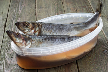 Two salted herring in a container with brine