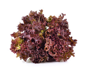 Fresh lettuce on white background