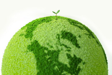 sprout on the green globe