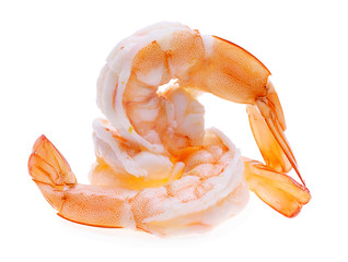 shrimps on a white background