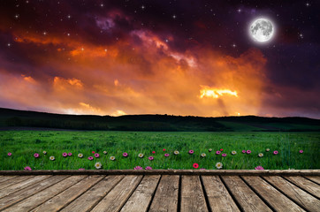 Wall Mural - flower field in the night. elements of this image furnished by nasa.