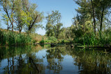 Fototapeta Krajobraz - river among the trees
