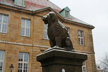 Wall Mural - Der Löwenpudel in Osnabrück