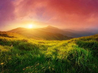 Wall Mural - mountain valley during sunrise. natural summer landscape
