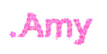 Amy Female Name Set With Hearts Type Design