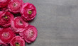 Some red peonies on dark wooden background