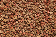 Dried cat food background