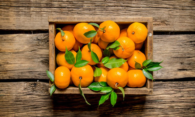 Fresh tangerines in an old box with leaves.