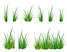 Gras Spielwiese Wiese