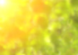 © frenta - Summer blurred background