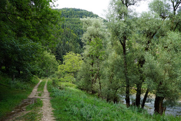 Wall Mural - Track and river