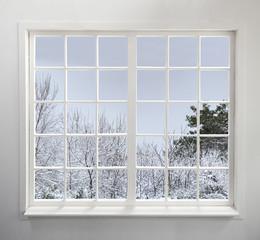 Residential window with snow and trees