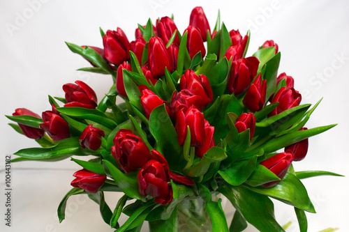 Fototapeta do kuchni Bouquet of red tulips isolated on white background