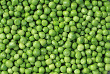 Green Pea Background