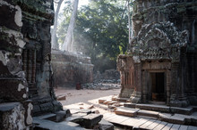 Rays Of Early Morning Light At Ta Prohm Ruined Temple, Angkor Wat, Cambodia