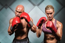 Composite Image Of Portrait Of Boxers With Gloves