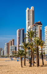 Sticker - Beach of Benidorm in Alicante city. Spain