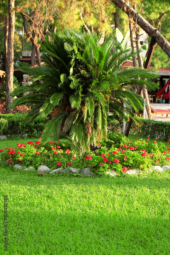 Turkish park in the afternoon