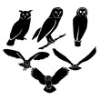 owl silhouette logo icon vector
