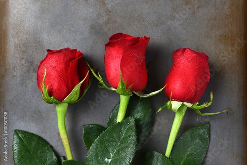 Tapeta ścienna na wymiar Three Red Rose Buds