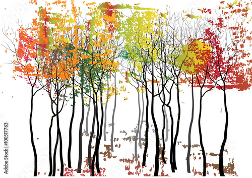 jesienne-drzewa-kolorowe-liscie-ilustracja-na-bialym-tle