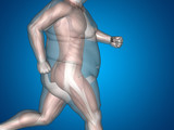 Fototapeta Sport - Human man fat and slim concept on blue