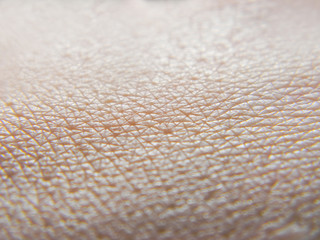 Human skin macro photo