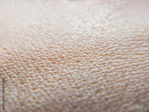 Fotografia, Obraz  Human skin macro photo