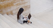 © Dash - High angle view of single business woman sitting on marble staircase outdoors