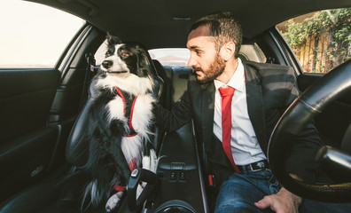 Man motivate his dog before canine competition