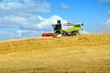 © struvictory - Working harvester on the yellow field with hay.